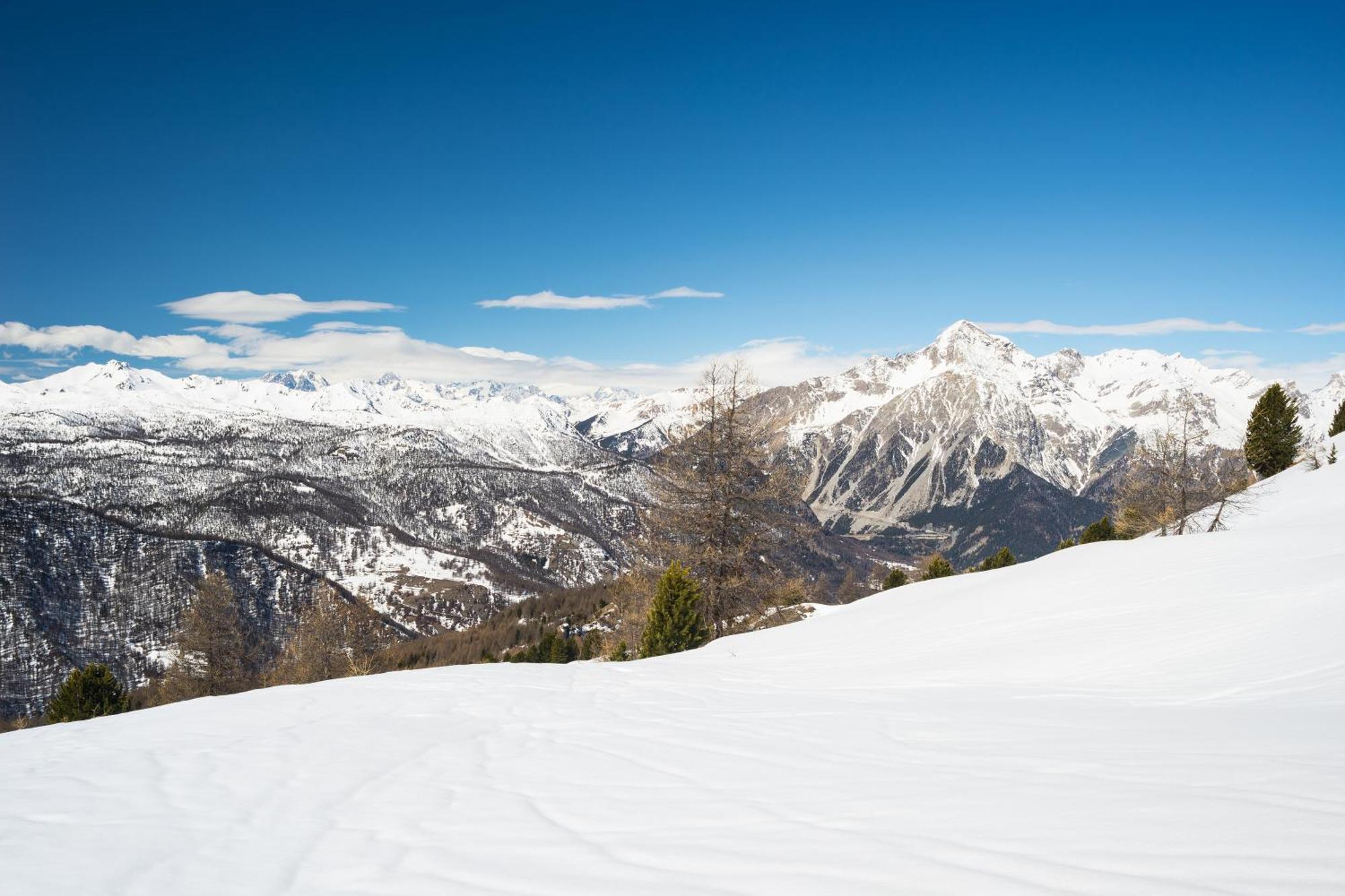 Appartamento La Marmotta Mountain Retreat - Happy Rentals كلافييري المظهر الخارجي الصورة